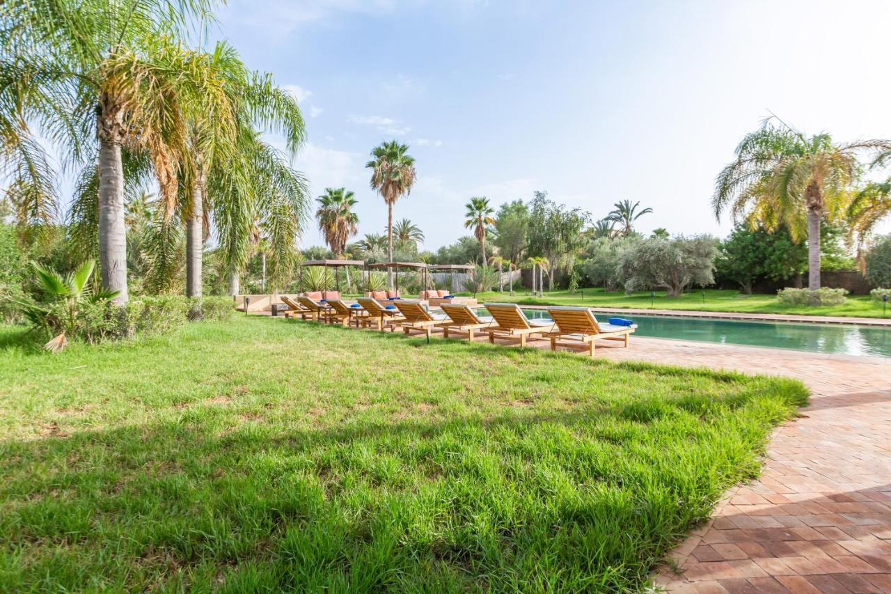 Tomazo Marrakesh